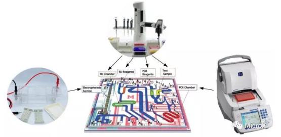 PCR反應(yīng)，DNA電泳在芯片上的整合