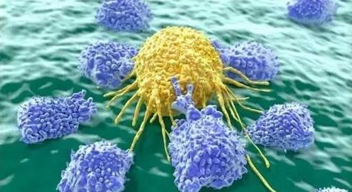 微流控芯片在循環(huán)腫瘤細(xì)胞中的應(yīng)用 微流控芯片在循環(huán)腫瘤細(xì)胞中的應(yīng)用