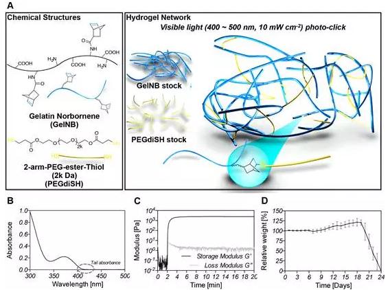 200ul微量管為基礎(chǔ)的微流控裝置 200ul微量管為基礎(chǔ)的微流控裝置