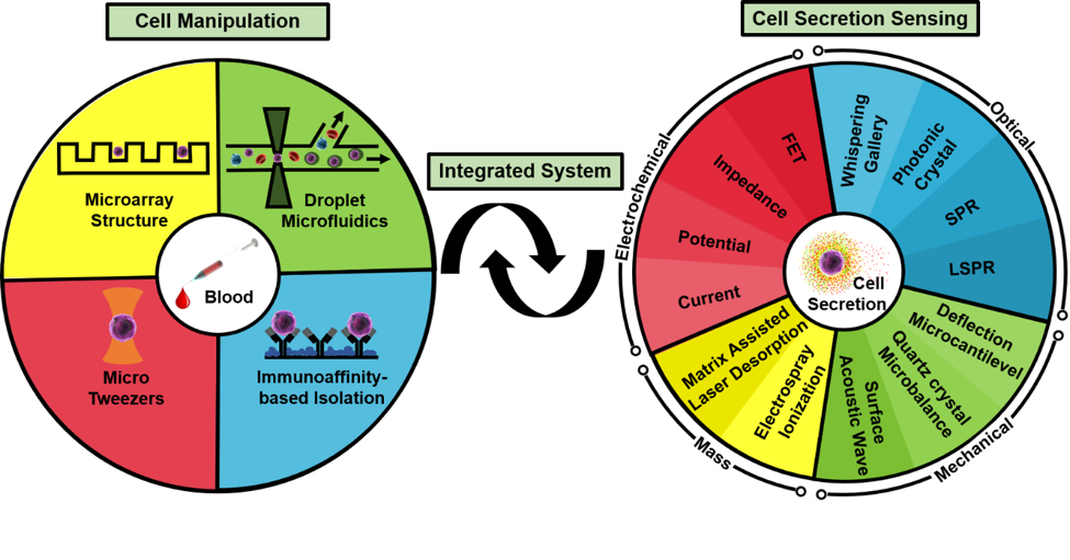 基于微流體系統(tǒng)的單細(xì)胞生物檢測(cè)技術(shù) 基于微流體系統(tǒng)的單細(xì)胞生物檢測(cè)技術(shù)