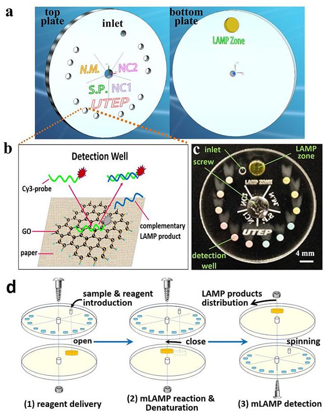 小小可旋轉(zhuǎn)CD生物芯片實(shí)現(xiàn)多種傳染性疾病的及時(shí)定量診斷 小小可旋轉(zhuǎn)CD生物芯片實(shí)現(xiàn)多種傳染性疾病的及時(shí)定量診斷