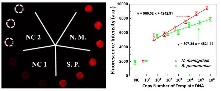 微流控生物芯片在醫(yī)療診斷應(yīng)用 微流控生物芯片在醫(yī)療診斷應(yīng)用