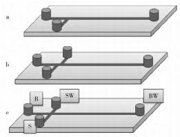 圖 2 常用于微流控芯片電泳的通道結(jié)構(gòu)示意圖 圖 2 常用于微流控芯片電泳的通道結(jié)構(gòu)示意圖