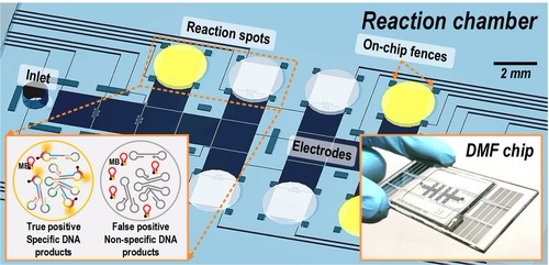數(shù)位微流控系統(tǒng)寄生蟲檢測工具