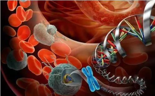 循環(huán)腫瘤細(xì)胞(CTC)在精準(zhǔn)醫(yī)療領(lǐng)域的應(yīng)用 循環(huán)腫瘤細(xì)胞(CTC)在精準(zhǔn)醫(yī)療領(lǐng)域的應(yīng)用