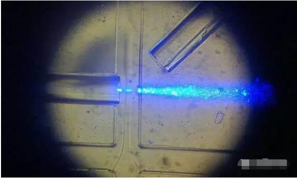 工作中的新型設(shè)備：光纖發(fā)出藍(lán)光，照亮從左向右流動(dòng)的細(xì)胞樣本。（圖片來(lái)源：URV）