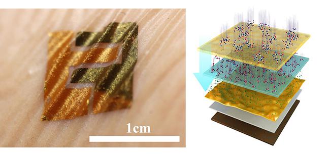 類(lèi)皮膚生物傳感器及結(jié)構(gòu)示意圖