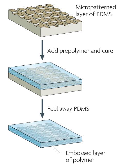圖3 復制成形技術(shù)的過程 圖3 復制成形技術(shù)的過程