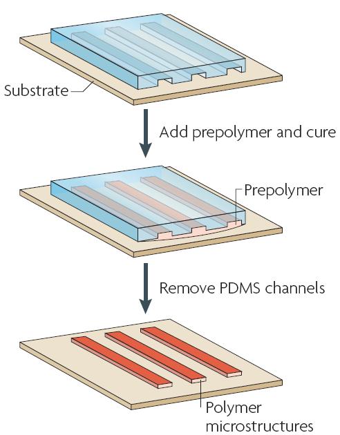 圖4 毛細管成形技術(shù)的過程 圖4 毛細管成形技術(shù)的過程
