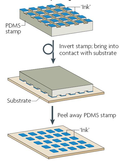 圖 5 微接觸印刷技術(shù)的過程 圖 5 微接觸印刷技術(shù)的過程