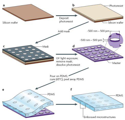 集成微結(jié)構(gòu)的PDMS層的加工過程 集成微結(jié)構(gòu)的PDMS層的加工過程