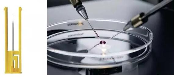 顯微操作法(Micromanipulator) 顯微操作法(Micromanipulator)