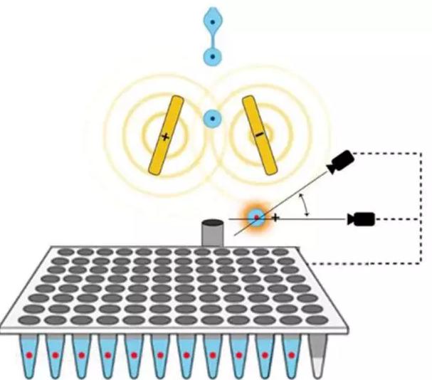 熒光流式分選(FACS) 熒光流式分選(FACS)