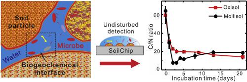 采用濕潤性圖案化微流控芯片技術(shù)用于土壤生物地球化學界面的形成過程研究 采用濕潤性圖案化微流控芯片技術(shù)用于土壤生物地球化學界面的形成過程研究