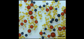 圖2. 液滴對外加磁場的響應(yīng)。圖片來源：Nature
