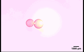 圖4. “齒輪”型液滴機(jī)械系統(tǒng)。