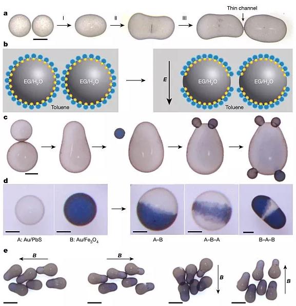 圖5. 基于靜電“焊接”設(shè)計與開發(fā)復(fù)雜非球型液滴。