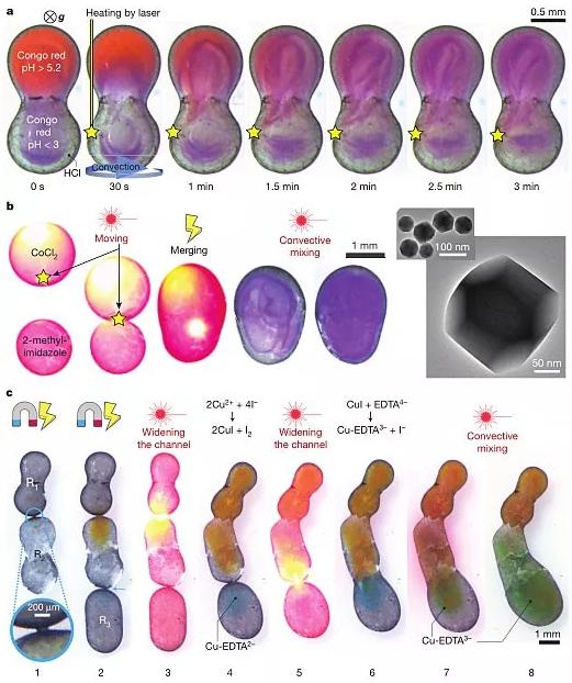 圖6. 動態(tài)控制的液滴化學(xué)反應(yīng)器。圖片來源：Nature