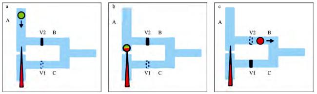 圖2微流控芯片中的單細胞微注射系統(tǒng) 圖2微流控芯片中的單細胞微注射系統(tǒng)