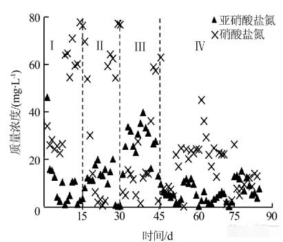 反應(yīng)器中進(jìn)出水各形態(tài)氮的變化