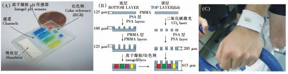 圖 2 可穿戴式汗液pH值檢測(cè)微流控系統(tǒng)