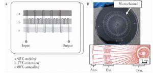 圖2  蛇形通道型 PCR芯片:(A) 平行通道 PCR芯片，(B) 輻射通道 PCR芯片