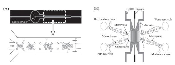 微流控芯片來培養(yǎng)細胞 微流控芯片來培養(yǎng)細胞