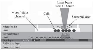 圖4微流控芯片細(xì)胞計數(shù)研究 圖4微流控芯片細(xì)胞計數(shù)研究