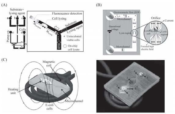 圖3細(xì)胞裂解裝置示意圖 圖3細(xì)胞裂解裝置示意圖