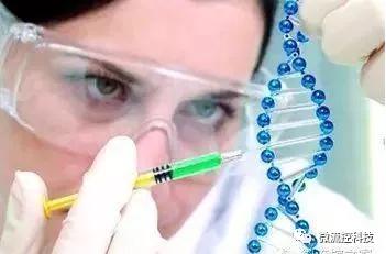 微流控技術(shù)在基因分析研究中的應用 微流控技術(shù)在基因分析研究中的應用