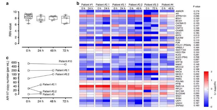 圖：從前列腺癌患者血液中分離出的CTC經(jīng)全血保存后含有完整的RNA，RNA測序和微滴數(shù)字PCR結(jié)果如圖所示。