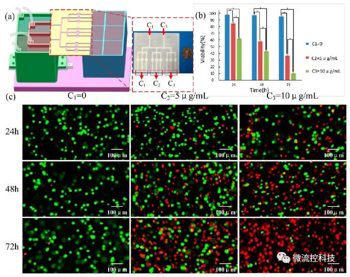 基于該平臺(tái)的3D腫瘤藥物篩選 基于該平臺(tái)的3D腫瘤藥物篩選