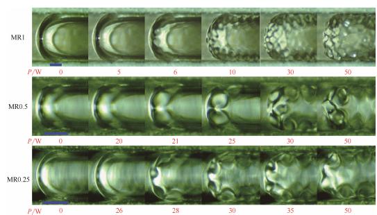 圖9超聲作用下微通道內(nèi)彈狀氣泡運動行為（標(biāo)尺250μm）