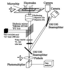 圖1紫外和可見激光誘導(dǎo)熒光檢測(cè)系統(tǒng)