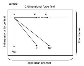 圖5芯片二維分離機(jī)理示意圖 圖5芯片二維分離機(jī)理示意圖
