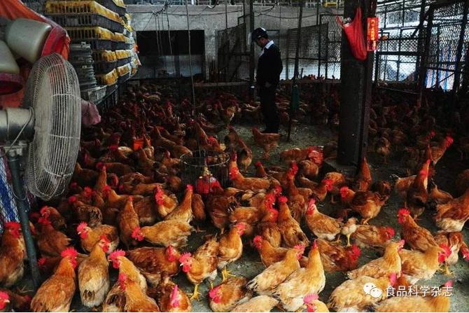 食品中抗病毒類藥物殘留檢測(cè)方法研究進(jìn)展 食品中抗病毒類藥物殘留檢測(cè)方法研究進(jìn)展