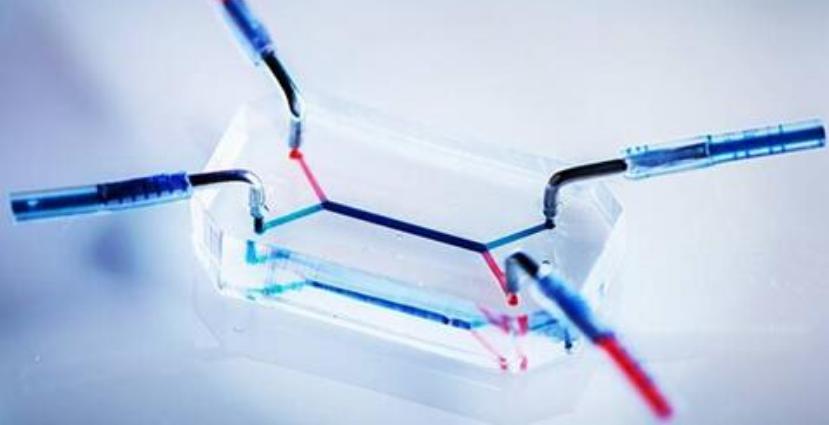 模仿人類胎盤屏障的微流控芯片 模仿人類胎盤屏障的微流控芯片