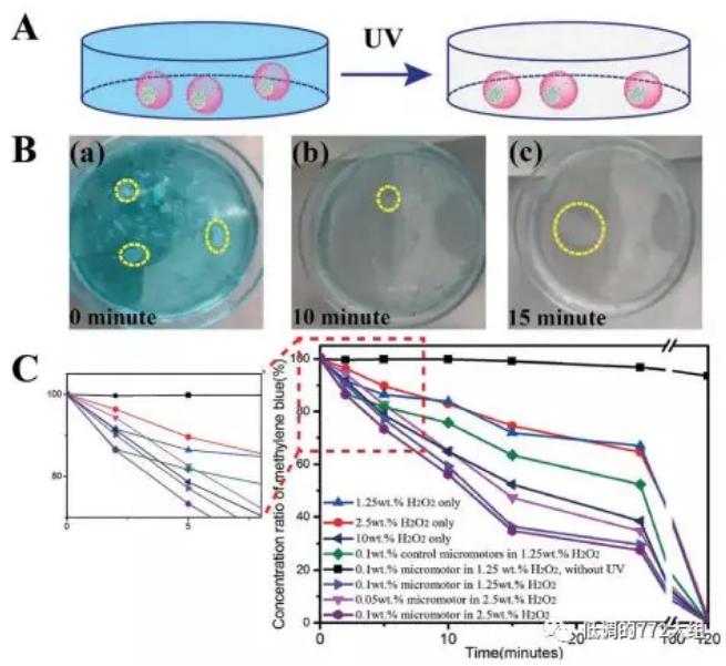 圖4. 自驅(qū)動顆粒的亞甲基藍(lán)降解研究 圖4. 自驅(qū)動顆粒的亞甲基藍(lán)降解研究