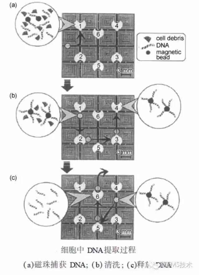 1520832515103194.jpg q4.jpg