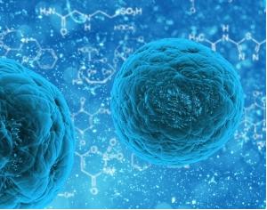 3D細胞培養(yǎng) 3D細胞培養(yǎng)