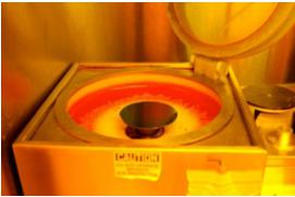 旋轉(zhuǎn)涂布機的照片