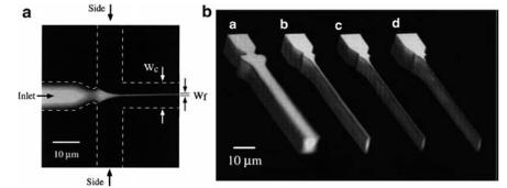 流動聚焦微流體混合 流動聚焦微流體混合