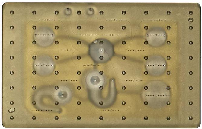 開放式微流控系統(tǒng):同時(shí)研究多個(gè)器官系統(tǒng)上的藥物效應(yīng) 開放式微流控系統(tǒng):同時(shí)研究多個(gè)器官系統(tǒng)上的藥物效應(yīng)