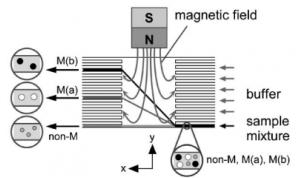 用于連續(xù)微流體顆粒分選的大塊磁體 用于連續(xù)微流體顆粒分選的大塊磁體