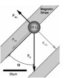 1521516893199839.jpg q17.jpg