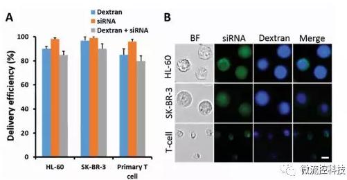 微流控芯片技術(shù)助力免疫治療，將CRISPR體系傳遞到人類T細胞