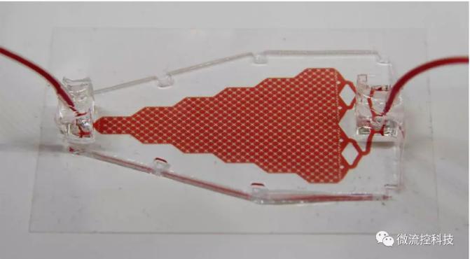 循環(huán)腫瘤細(xì)胞（CTCs）芯片