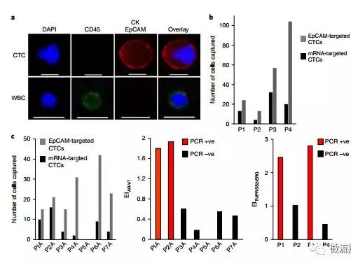 基于微流控芯片的新型液體活檢技術(shù)，助力前列腺癌診療