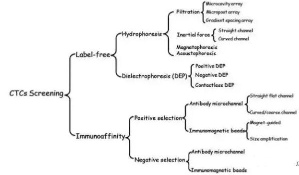 圖2：微流控系統(tǒng)分離CTCs的方法
