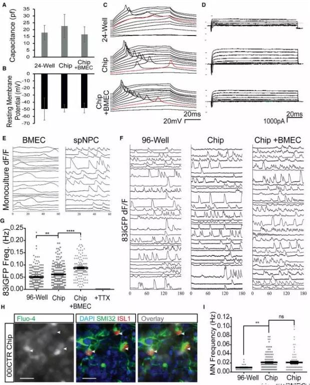1525244669421754.jpg Q8.jpg